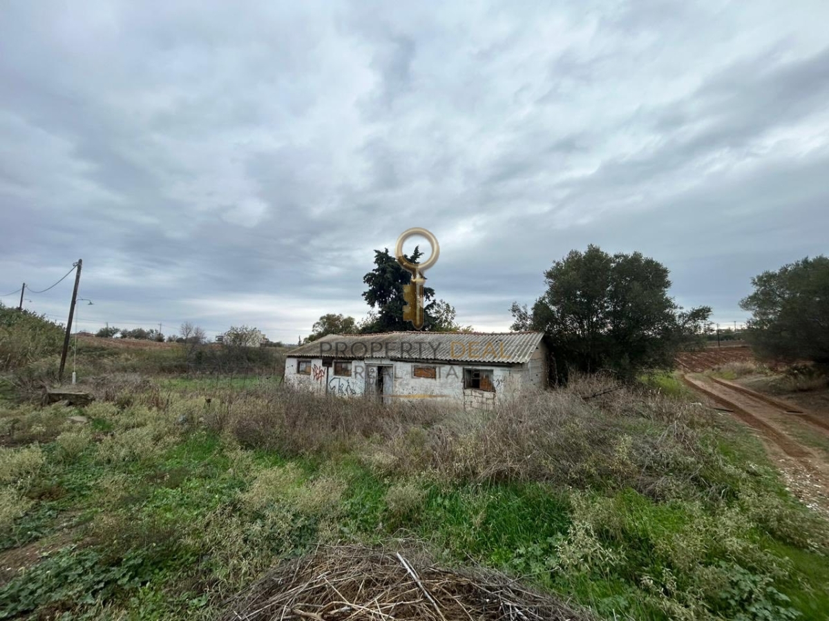 property-img